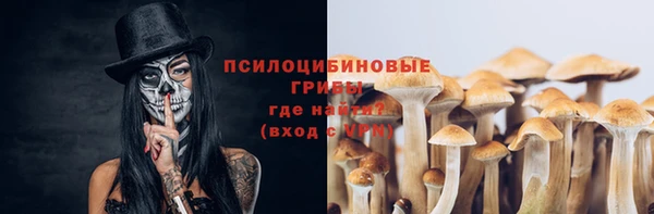тгк Волоколамск