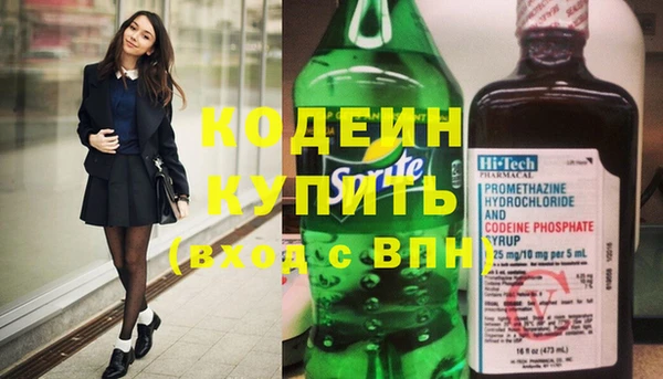 стаф Вязьма