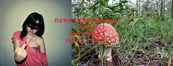 гашиш Вяземский