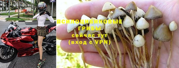 соль курить ск Володарск
