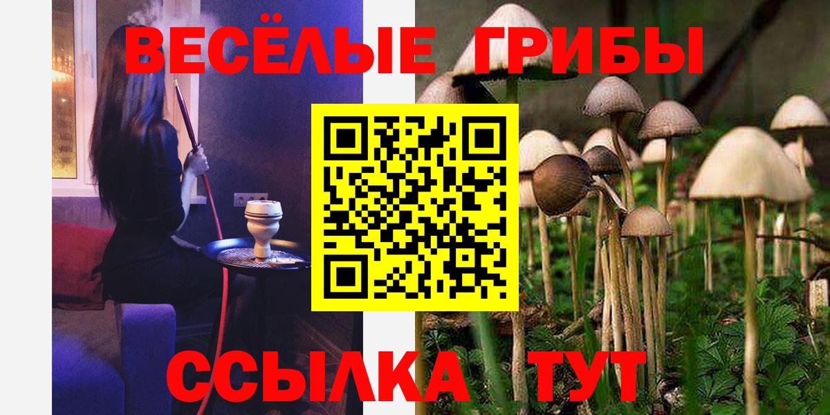 Галлюциногенные грибы GOLDEN TEACHER Маркс